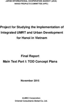 Project for Studying the Implementation of Integrated UMRT and Urban Development for Hanoi in Vietnam