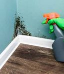 Keeping your home free from damp and mould - NCHA