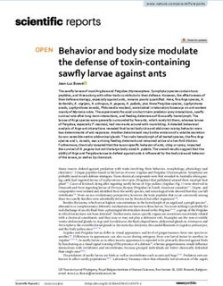 Behavior and body size modulate the defense of toxin containing sawfly larvae against ants