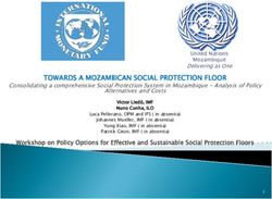 TOWARDS A MOZAMBICAN SOCIAL PROTECTION FLOOR - ILO