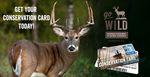 White-Tailed Deer Hunting Preview - Wisconsin.gov