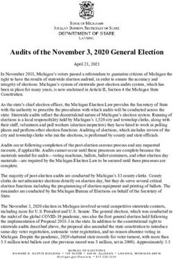 Audits of the November 3, 2020 General Election - State of ...