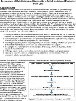 Development of Male Endangered Species Germ Cells from Induced Pluripotent Stem Cells
