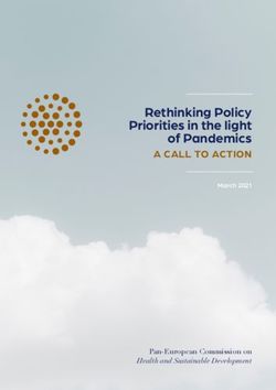 Rethinking Policy Priorities in the light of Pandemics - A CALL TO ACTION - Pan-European Commission on Health and Sustainable Development - WHO ...