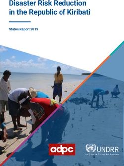 Disaster Risk Reduction in the Republic of Kiribati - Status Report 2019
