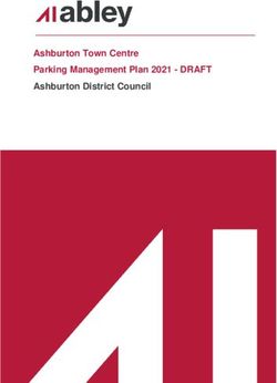 Ashburton Town Centre Parking Management Plan 2021 - DRAFT Ashburton District Council