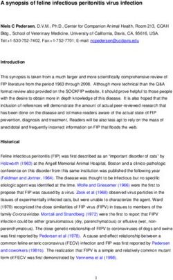 A Synopsis Of Feline Infectious Peritonitis Virus Infection - SOCK FIP