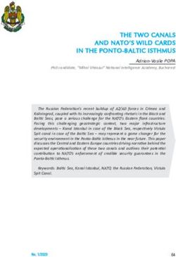 THE TWO CANALS AND NATO'S WILD CARDS IN THE PONTO-BALTIC ISTHMUS