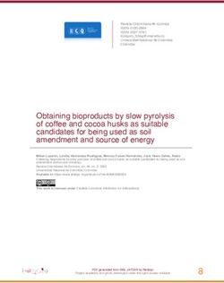 Obtaining bioproducts by slow pyrolysis of coffee and cocoa husks as suitable candidates for being used as soil amendment and source of energy