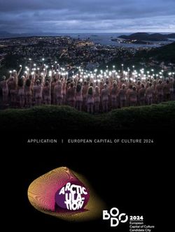 APPLICATION | EUROPEAN CAPITAL OF CULTURE 2024 - Bodø kommune