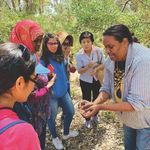 Aboriginal Bushfood Trails Wildflower - Ancient Tracks, New Journeys Visitor Centre - WAITOC