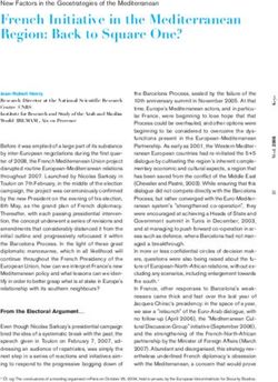 French Initiative in the Mediterranean Region: Back to Square One? - IEMed