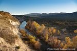 Hart Prairie, Arizona - Ecological Restoration of Land and Water - The Nature Conservancy