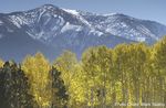 Hart Prairie, Arizona - Ecological Restoration of Land and Water - The Nature Conservancy