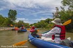 Hart Prairie, Arizona - Ecological Restoration of Land and Water - The Nature Conservancy