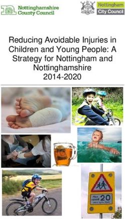 Reducing Avoidable Injuries in Children and Young People: A Strategy for Nottingham and Nottinghamshire 2014-2020 - Nottinghamshire County ...