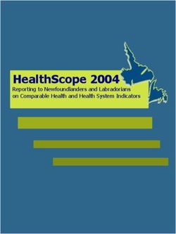 HealthScope 2004 Reporting to Newfoundlanders and Labradorians on Comparable Health and Health System Indicators
