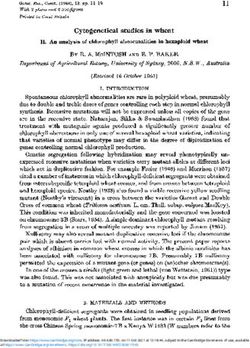 Cytogenetical studies in wheat