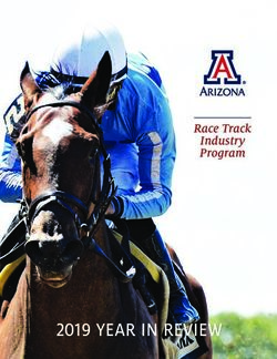 2019 YEAR IN REVIEW - Race Track Industry Program - Race Track Industry Program