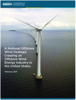 A National Offshore Wind Strategy: Creating an Offshore Wind Energy Industry in the United States - February 2011