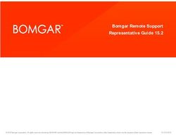 download bomgar support console