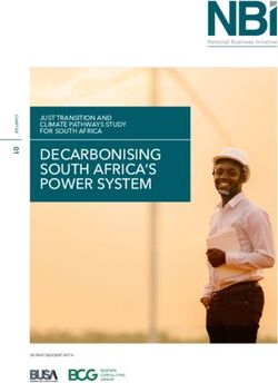 DECARBONISING SOUTH AFRICA'S POWER SYSTEM - JUST TRANSITION AND CLIMATE PATHWAYS STUDY FOR SOUTH AFRICA
