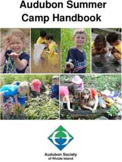 Audubon Summer Camp Handbook