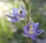 11TH OCTOBER 2020 - Ferntree Gully Baptist Church