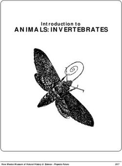 ANIMALS: INVERTEBRATES - Introduction to