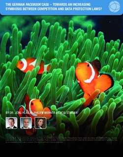 THE GERMAN FACEBOOK CASE - TOWARDS AN INCREASING SYMBIOSIS BETWEEN COMPETITION AND DATA PROTECTION LAWS?