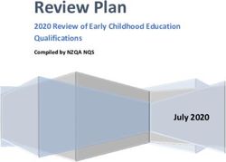 Review Plan - July 2020 - NZQA