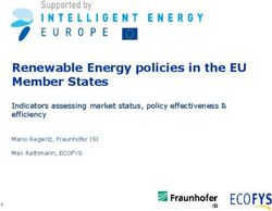 Renewable Energy policies in the EU Member States - Indicators assessing market status, policy effectiveness & efficiency