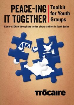 PEACE-ING IT TOGETHER - Toolkit for Youth Groups Explore SDG 16 through the stories of two families in South Sudan - Trocaire
