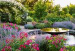 Chelsea Flower Show, Highgrove & Private Cotswolds Gardens 22nd - 28th May 2022 (6 nights)