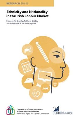 Ethnicity and Nationality in the Irish Labour Market - RESEARCH SERIES - Irish Human ...