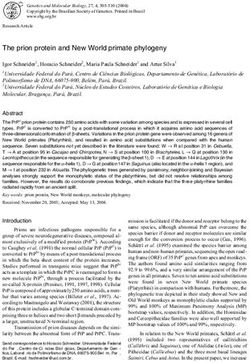 The prion protein and New World primate phylogeny
