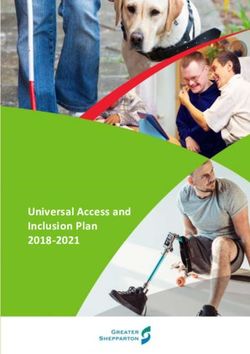 Universal Access and Inclusion Plan 2018-2021 - Greater ...