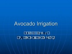 Avocado Irrigation Gary S. Bender Subtropical Horticulture