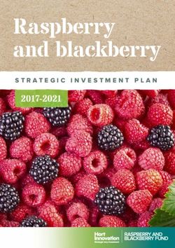 Raspberry and blackberry - 2017-2021 STRATEGIC INVESTMENT PLAN - Hort ...