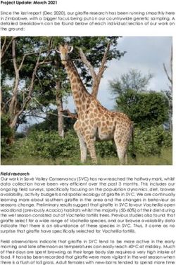 Project Update: March 2021 - AWS