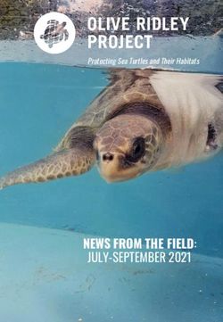NEWS FROM THE FIELD: JULY-SEPTEMBER 2021 - Protecting Sea Turtles and Their Habitats - Olive Ridley Project