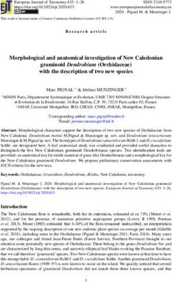 Morphological and anatomical investigation of New Caledonian graminoid Dendrobium (Orchidaceae) with the description of two new species - Horizon IRD