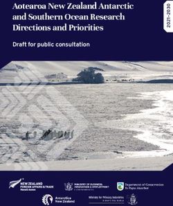 Aotearoa New Zealand Antarctic and Southern Ocean Research Directions and Priorities - Draft for public consultation