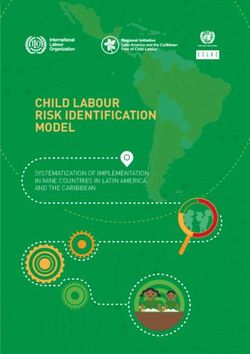 CHILD LABOUR RISK IDENTIFICATION MODEL - SYSTEMATIZATION OF IMPLEMENTATION IN NINE COUNTRIES IN LATIN AMERICA AND THE CARIBBEAN