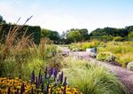 THE GARDENS OF THE NETHERLANDS & FLORIADE EXPO 2022 - AUGUST 25 - SEPTEMBER 4, 2022 American Horticultural Society Travel Study Program