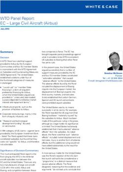 WTO Panel Report: EC - Large Civil Aircraft (Airbus)