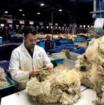 GRAZE Latest news for UK wool producers - Graze talks to World Champions