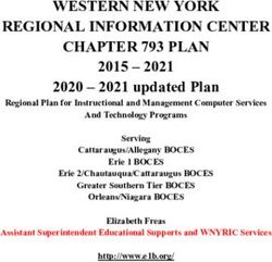 WESTERN NEW YORK REGIONAL INFORMATION CENTER CHAPTER 793 PLAN - WNYRIC