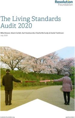 THE LIVING STANDARDS AUDIT 2020 - MIKE BREWER, ADAM CORLETT, KARL HANDSCOMB, CHARLIE MCCURDY & DANIEL TOMLINSON JULY 2020 - RESOLUTION FOUNDATION