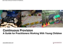 Continuous Provision A Guide for Practitioners Working With Young Children